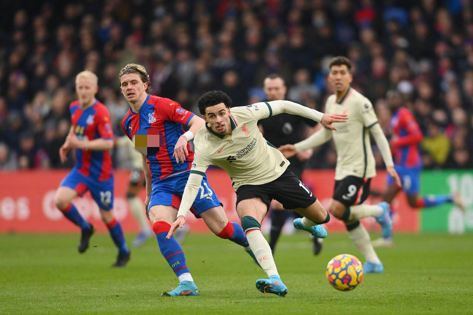 目睹了中国 目睹了中国